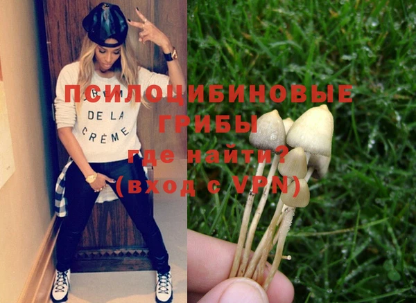 скорость Бородино