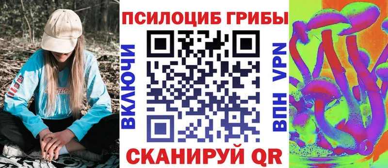 Купить где  Озёры  Псилоцибиновые грибы Magic Shrooms 